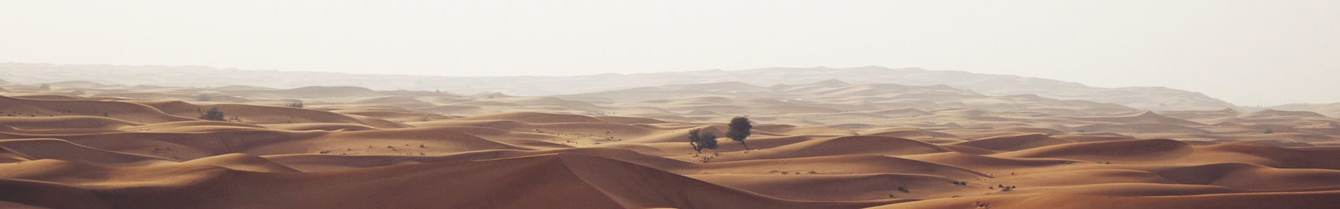 ǽֻ޹˾